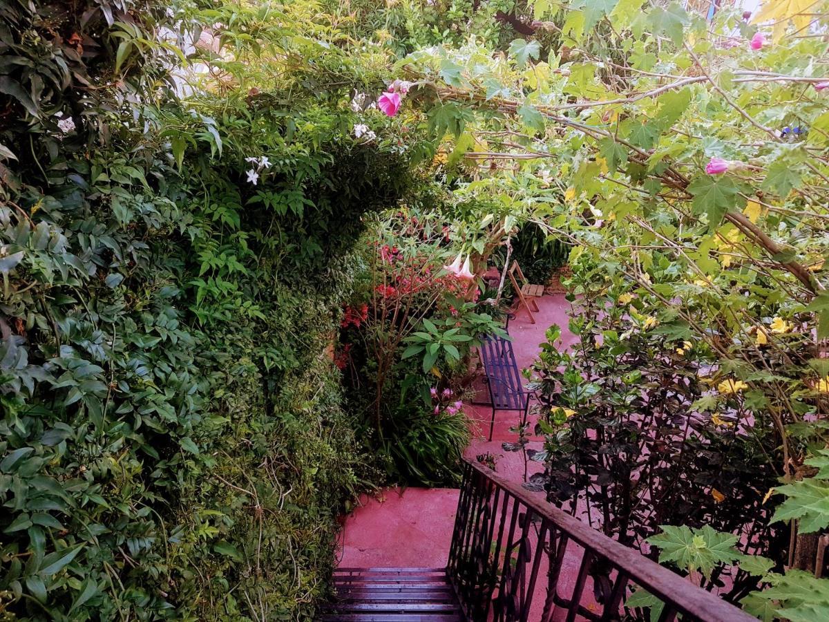 Qhia Hostel San Cristóbal de Las Casas Esterno foto