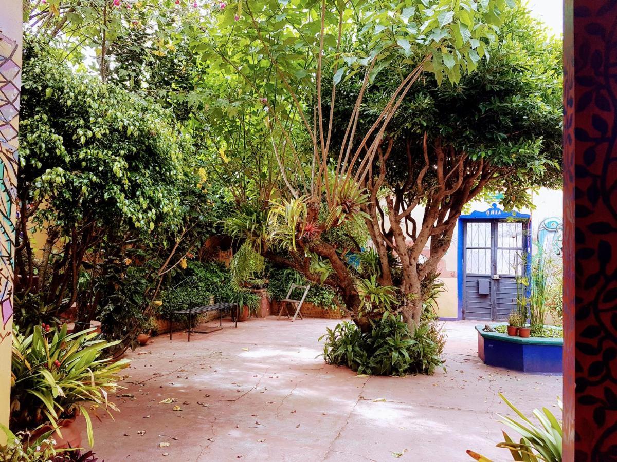 Qhia Hostel San Cristóbal de Las Casas Esterno foto