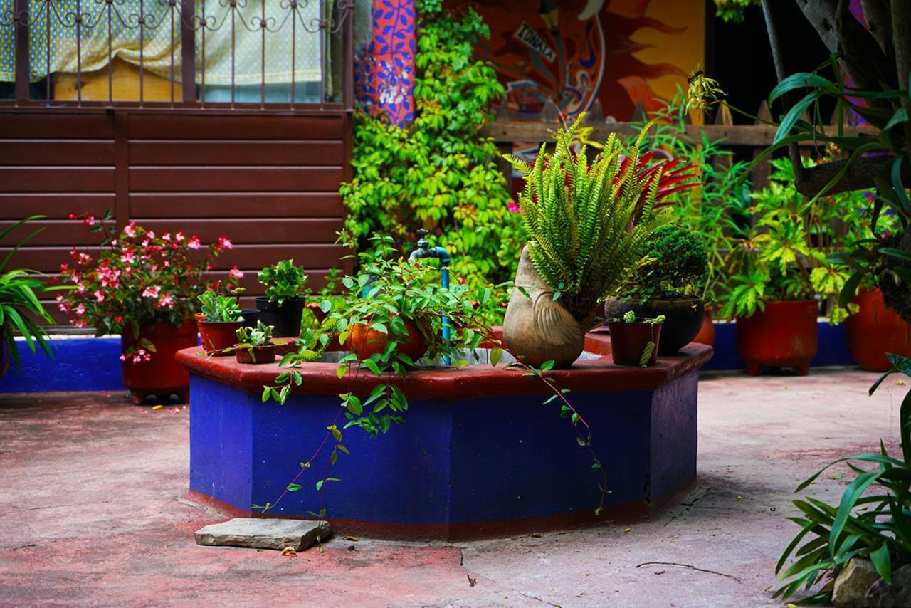 Qhia Hostel San Cristóbal de Las Casas Esterno foto