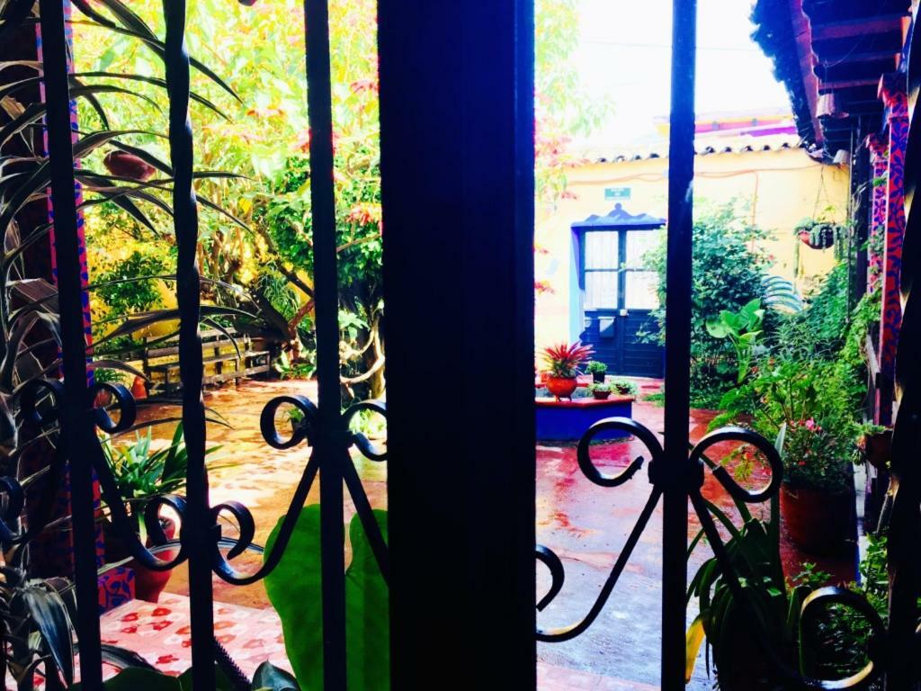 Qhia Hostel San Cristóbal de Las Casas Esterno foto